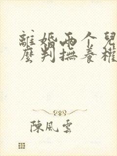 离婚两个儿子怎么判抚养权