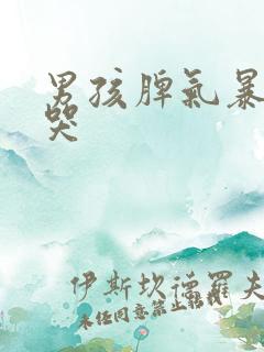 男孩脾气暴躁爱哭