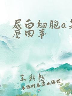 尿白细胞a是怎么回事