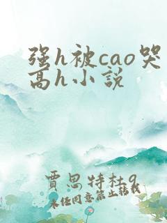 强h被cao哭高h小说