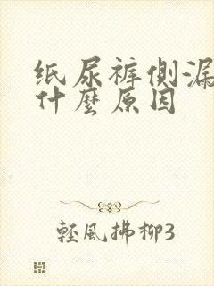 纸尿裤侧漏尿是什么原因