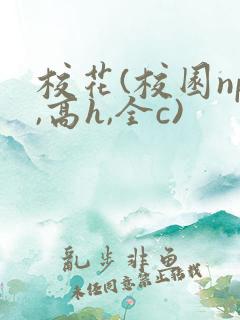 校花(校园np,高h,全c)