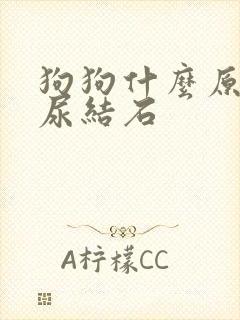 狗狗什么原因得尿结石