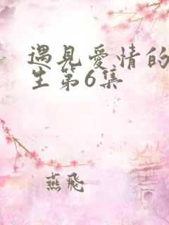 遇见爱情的利先生第6集