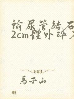 输尿管结石1.2cm体外碎石得多少钱