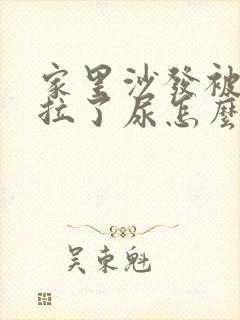 家里沙发被老鼠拉了尿怎么去味