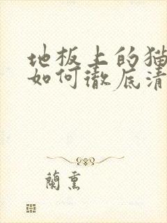 地板上的猫尿味如何彻底清除