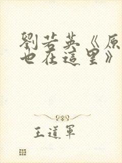 刘若英《原来你也在这里》歌词