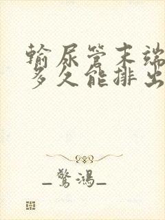 输尿管末端结石多久能排出