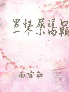 男性尿道口长了一个小肉颗粒