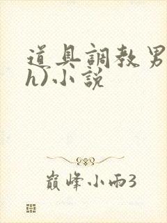 道具调教男男(h)小说