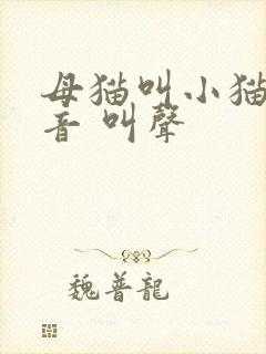 母猫叫小猫的声音 叫声