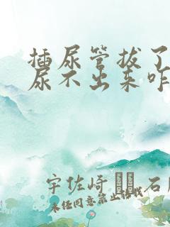 插尿管拔了以后尿不出来咋办