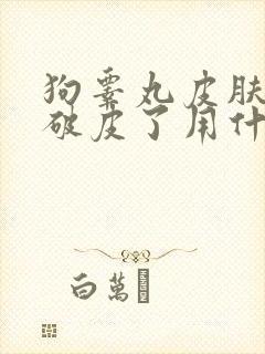 狗睾丸皮肤溃烂破皮了用什么药