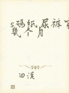 s码纸尿裤穿到几个月