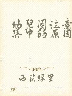 幼儿园注意力不集中的原因