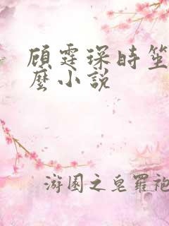 顾霆琛时笙是什么小说