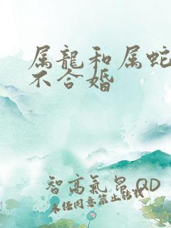 属龙和属蛇的合不合婚