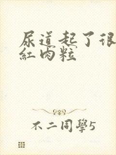 尿道起了很多小红肉粒