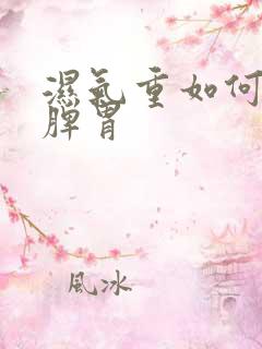 湿气重如何调理脾胃