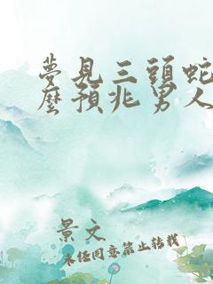 梦见三头蛇是什么预兆男人