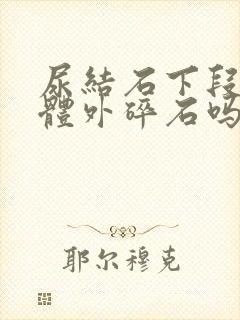 尿结石下段可以体外碎石吗