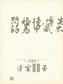 闪婚后,傅先生的马甲藏不住了,