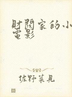 财阀家的小儿子电影