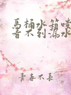 马桶水箱嗤嗤响看不到漏水