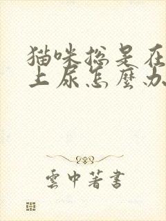 猫咪总是在我床上尿怎么办