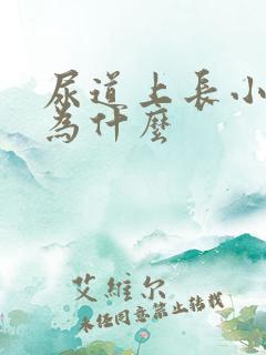 尿道上长小水泡为什么