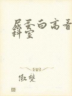 尿蛋白高看什么科室