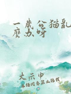 一岁公猫乱尿怎么办呀