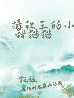 摄政王的小医妃 甜猫猫