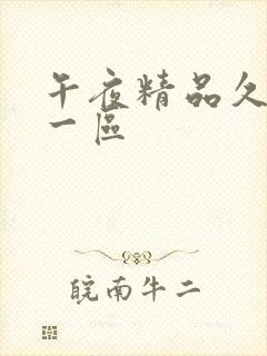 午夜精品久久久一区