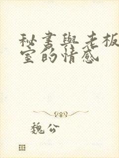 秘书与老板办公室的情感