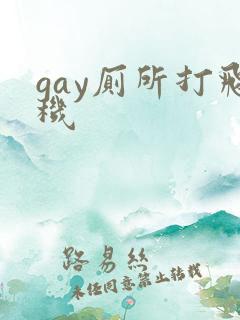 gay厕所打飞机