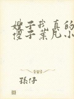 嫂子我真的不是傻子叶凡小说笔趣阁