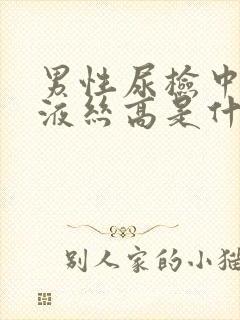 男性尿检中的粘液丝高是什么意思