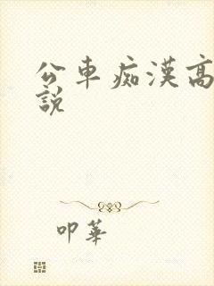 公车痴汉高h小说