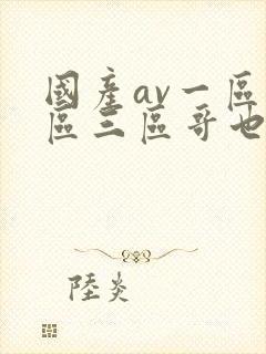 国产av一区二区三区哥也去