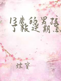 13岁的男孩到了叛逆期怎样教