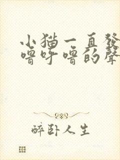 小猫一直发出呼噜呼噜的声音是怎么回事