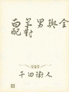 白羊男与金牛女配对