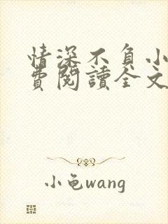 情深不负小说免费阅读全文