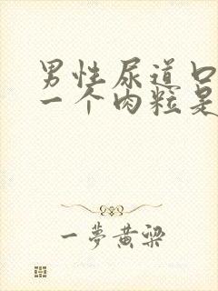 男性尿道口长了一个肉粒是怎么回事