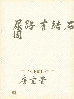 尿路有结石的原因