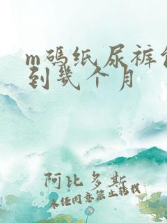 m码纸尿裤能穿到几个月