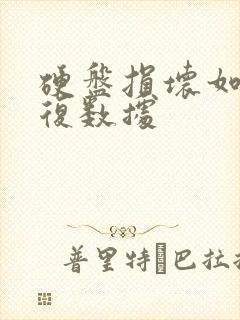 硬盘损坏如何修复数据