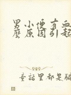 男小便有血是什么原因引起的